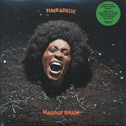 Funkadelic - Maggot Brain