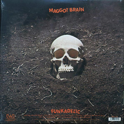 Funkadelic - Maggot Brain