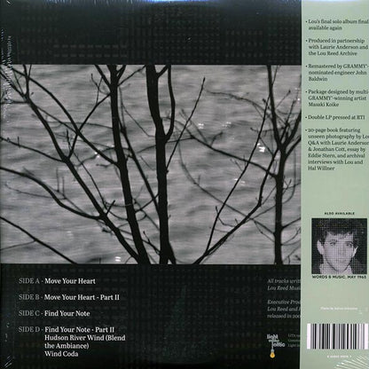 Lou Reed - Hudson River Wind Meditations