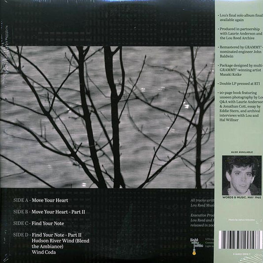 Lou Reed - Hudson River Wind Meditations